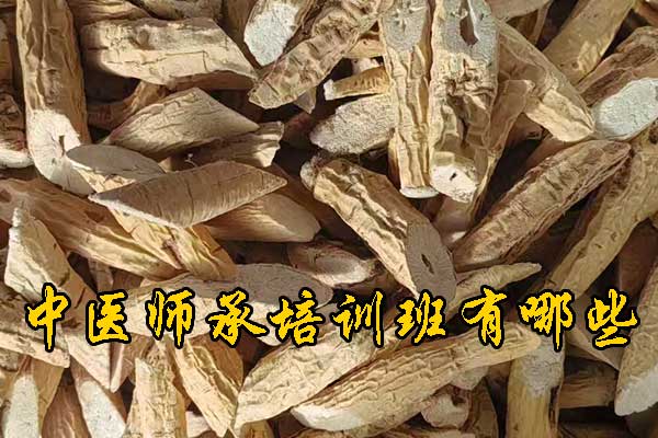 连云港学中医哪里有正规学校？