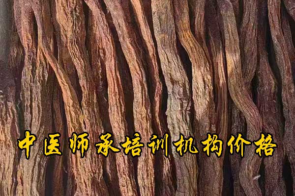 九江成人想学中医去什么学校