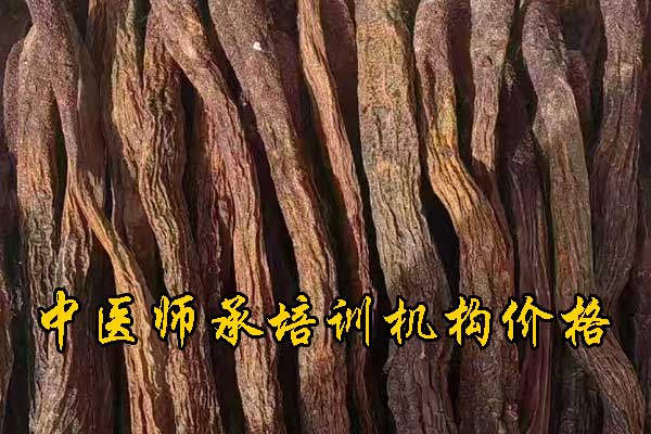 衡阳哪有学中医的学校