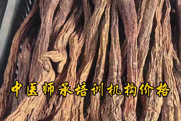 上饶成人中医培训班哪家好