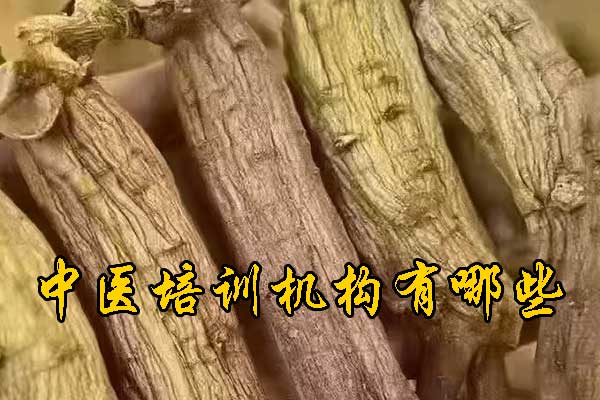 株洲有没有专门学中医的学校