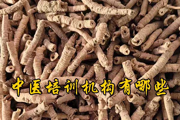 丽水成人想学中医去什么学校