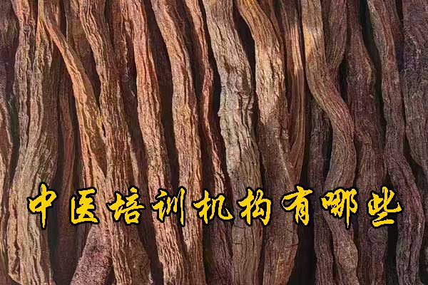 南阳哪有学中医的学校