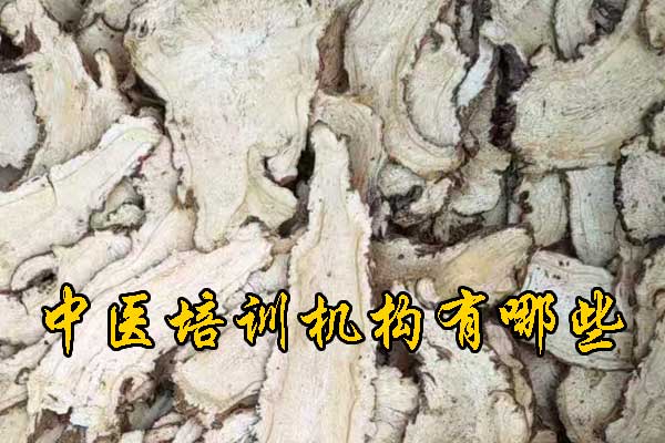 威海成人中医培训班哪家好