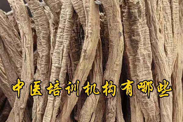 宁德学中医针灸的正规学校