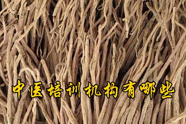 阜阳学中医哪里有正规学校？