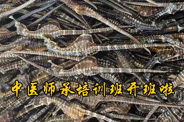 信阳有没有专门学中医的学校