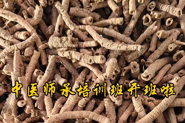 岳阳成人想学中医去什么学校