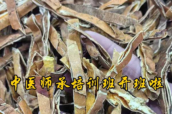 商丘哪有学中医的学校