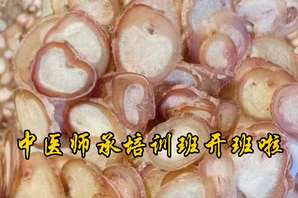 襄阳成人中医培训班哪家好