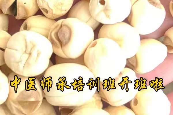 沧州学中医哪里有正规学校？