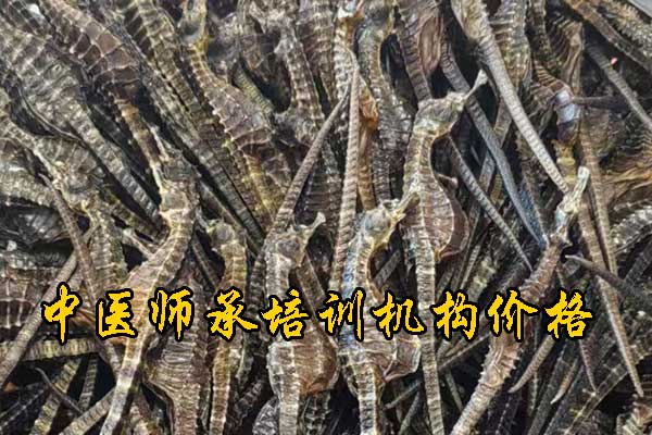 龙岩有没有专门学中医的学校