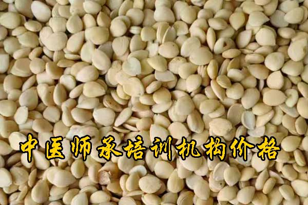 肇庆成人中医培训班哪家好