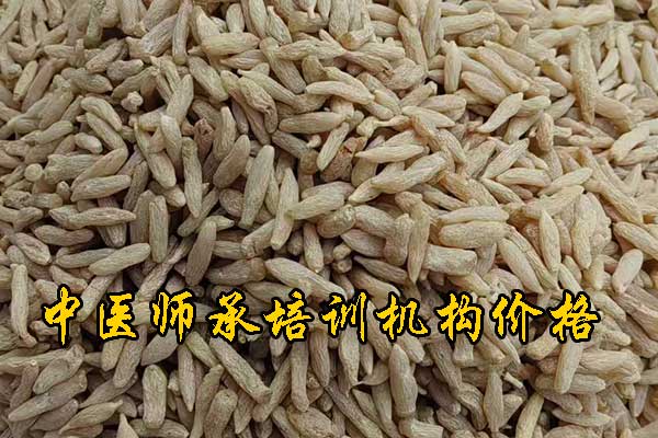 清远学中医针灸的正规学校