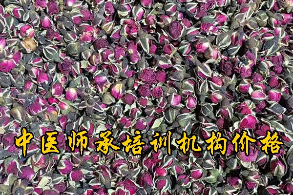 潮州哪有学中医的学校