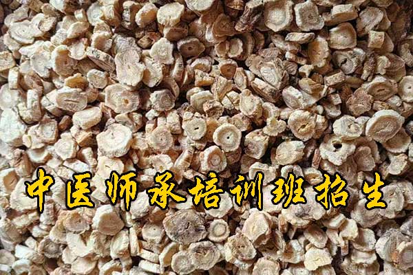 泰安成人想学中医去什么学校