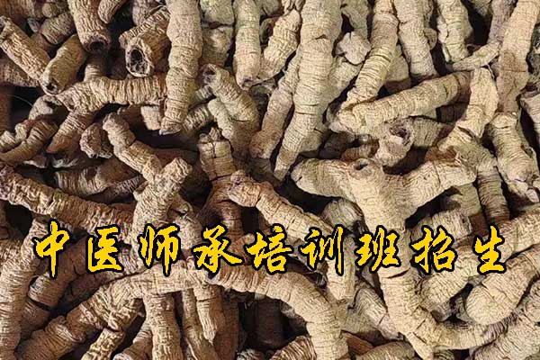 安庆有没有专门学中医的学校