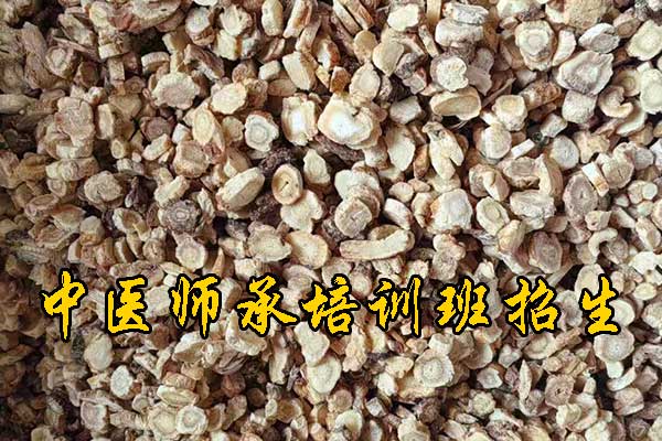 梅州成人中医培训班哪家好