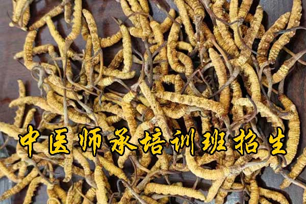 秦皇岛学中医针灸的正规学校