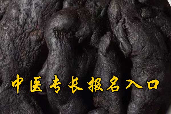 广州中医专长报名入口及报名网址