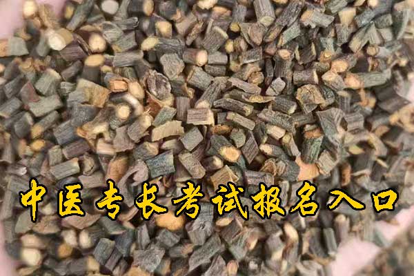南宁中医专长报名入口在哪里