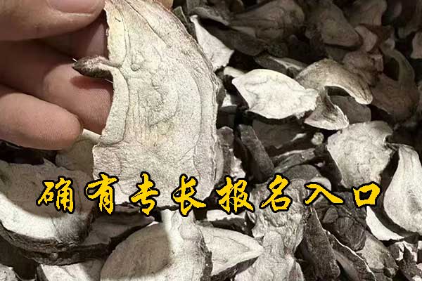 贵阳中医专长网上报名通道