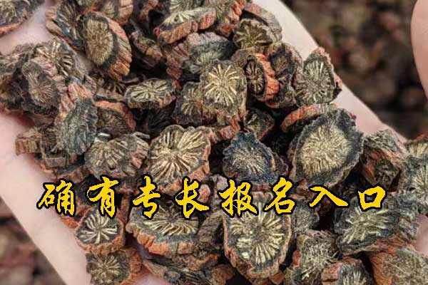 成都中医专长资格考试报名