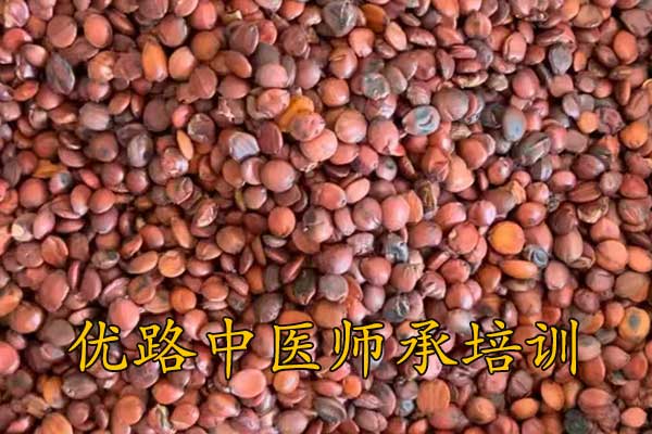 优路中医师承怎么样啊