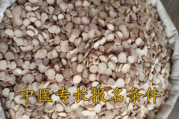 东莞中医专长报考执业医师条件