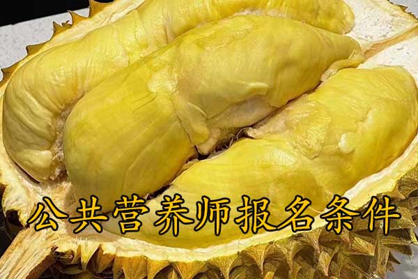 辽宁公共营养师报名需要什么条件