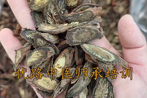 优路中医师承是正规的吗