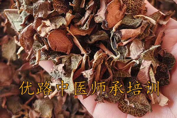 优路中医师承不跟师可以考出师证吗?