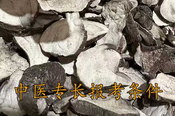 青岛中医专长报考执业医师条件