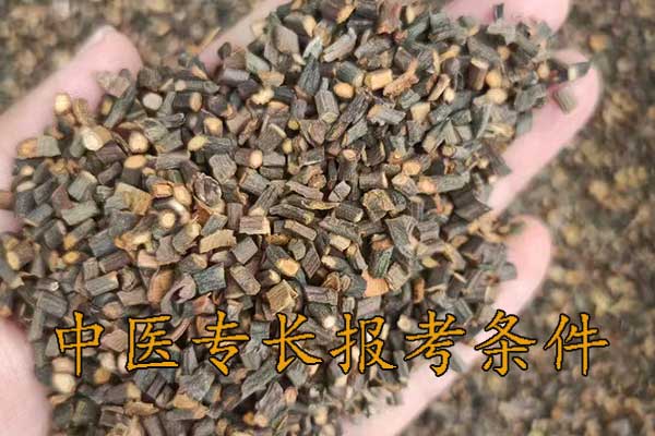 宁波中医专长报考执业医师条件