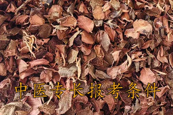 昆明中医专长报考执业医师条件