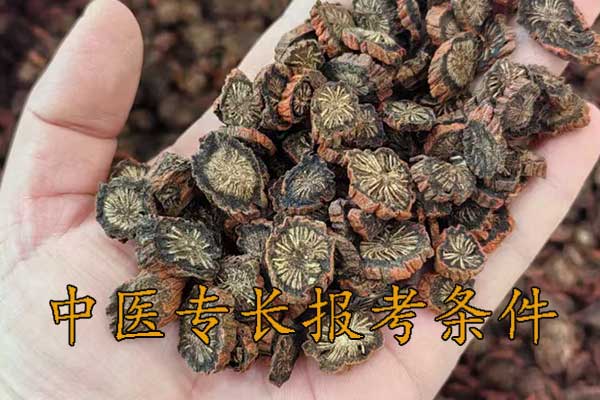 无锡中医专长报考执业医师条件