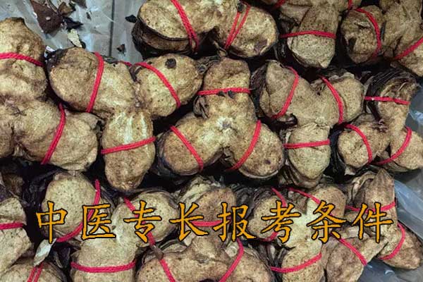 佛山中医专长报考执业医师条件