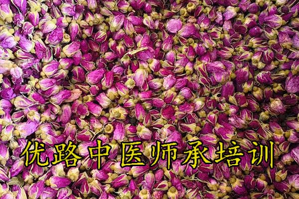 优路中医师承和悬壶中医师承哪个机构好