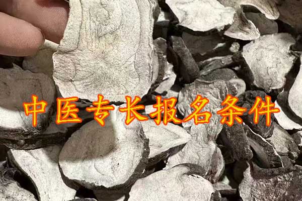 泉州中医专长报考执业医师条件