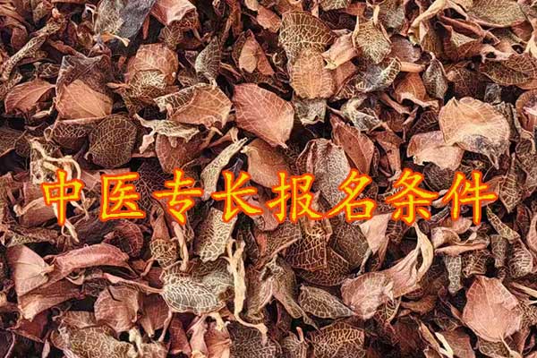 厦门中医专长报考执业医师条件