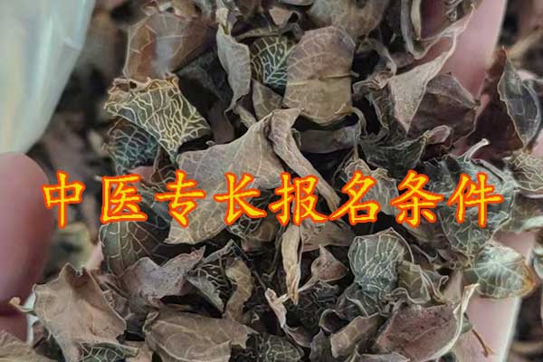 温州中医专长报考执业医师条件