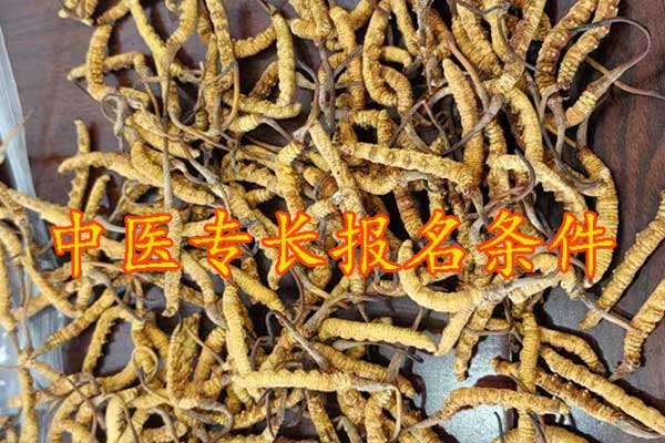 嘉兴中医专长报考执业医师条件