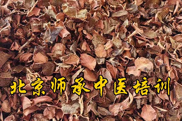 北京师承中医培训机构学费多少