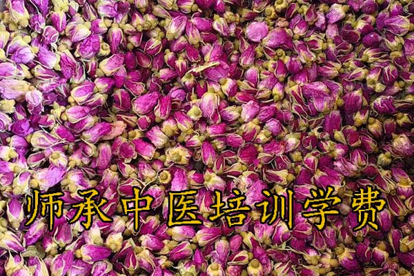 上海师承中医培训多少钱