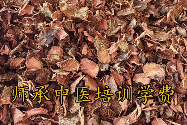 石家庄师承中医培训机构学费多少