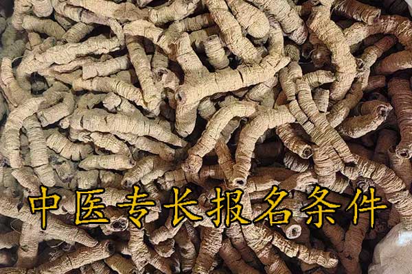 南昌中医专长报考执业医师条件