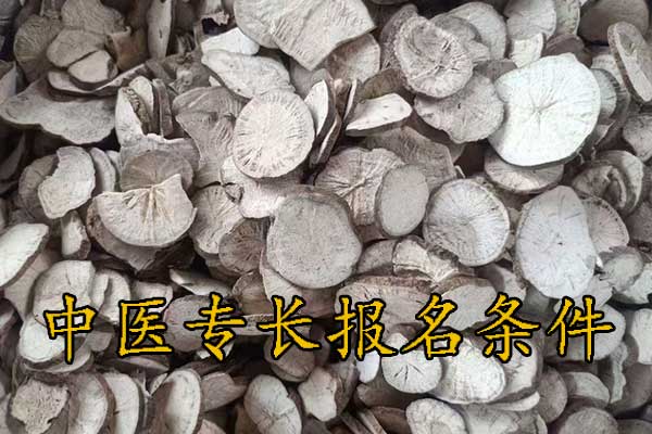 金华中医专长报考执业医师条件