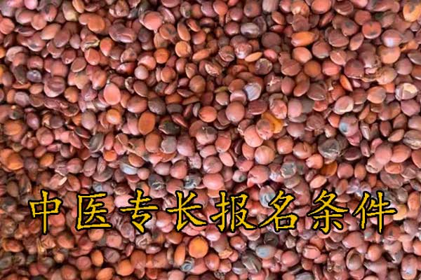 惠州中医专长报考执业医师条件