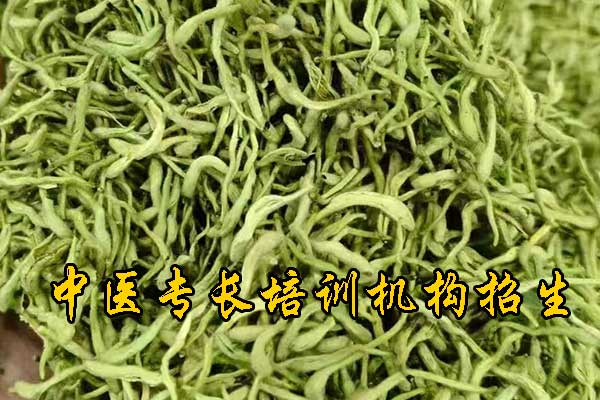 中山中医专长报考执业医师条件