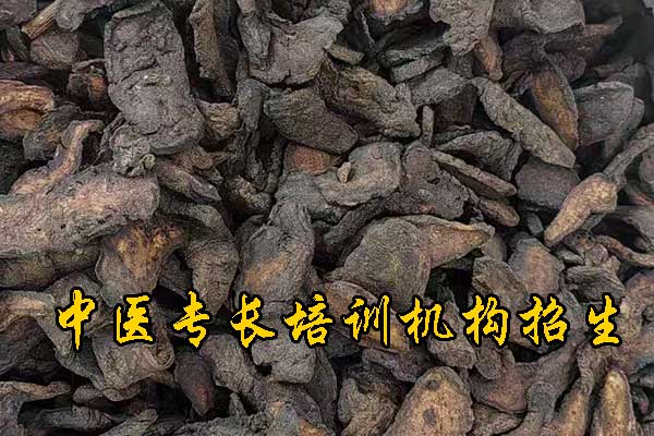 台州中医专长报考执业医师条件